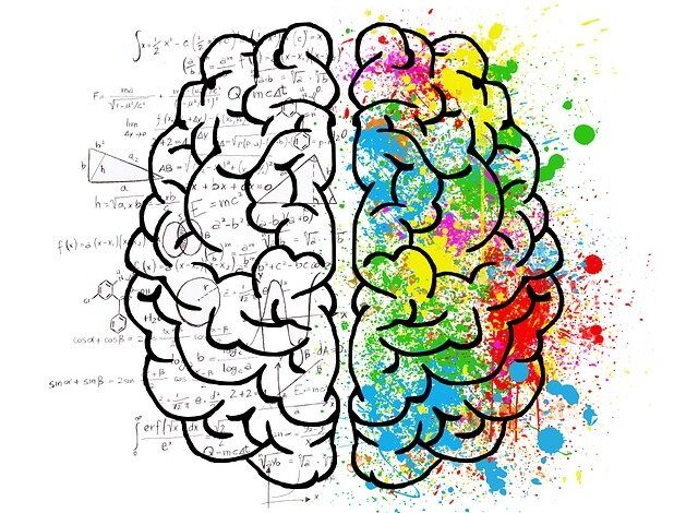 Brain depicting the Psychology Of Color In Branding