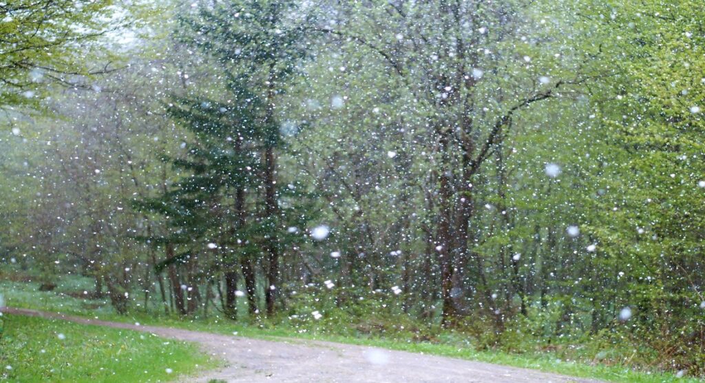 Best Places to Visit in Kerala During Monsoon