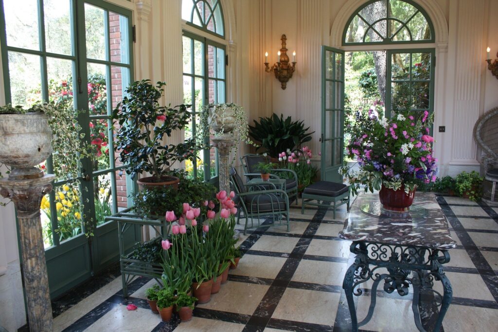 Psychology of Indoor Planting