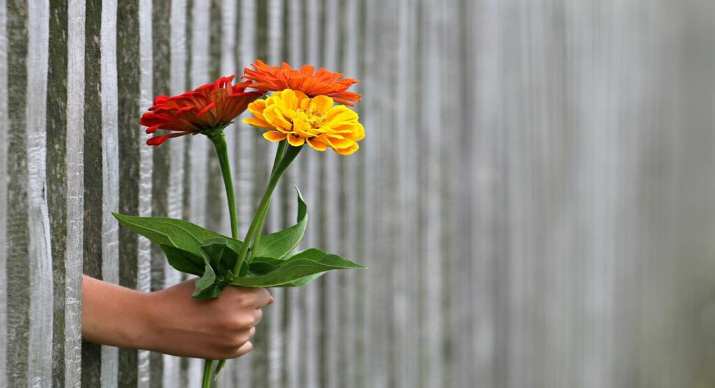 Psychology of One-Sided Love