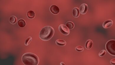 Ways to Increase Hemoglobin